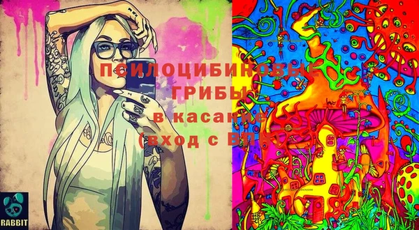 спайс Няндома