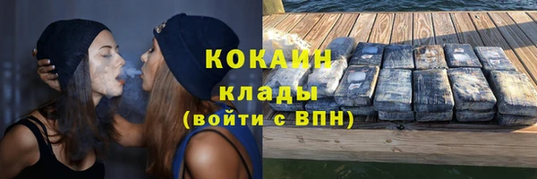 твердый Осташков