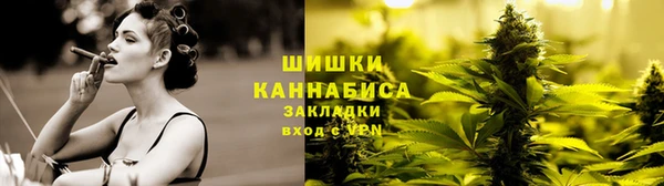 apvp Дмитриев