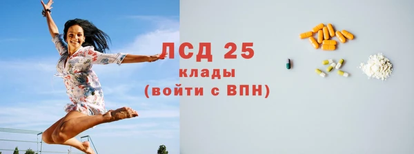 СК Дмитров