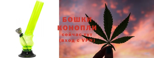 дмт Заводоуковск