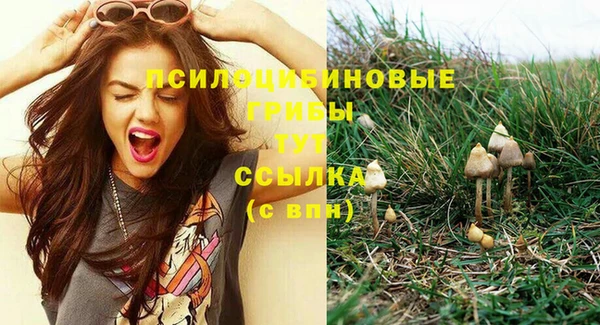 спиды Осинники