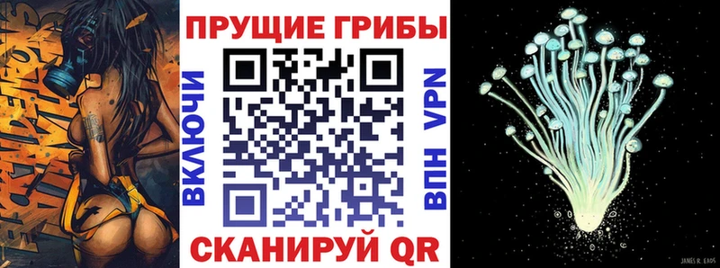 закладки  Полесск  Псилоцибиновые грибы прущие грибы 